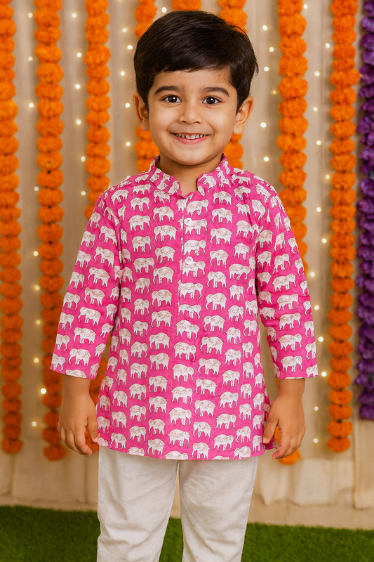 Boy Ethnic wear
